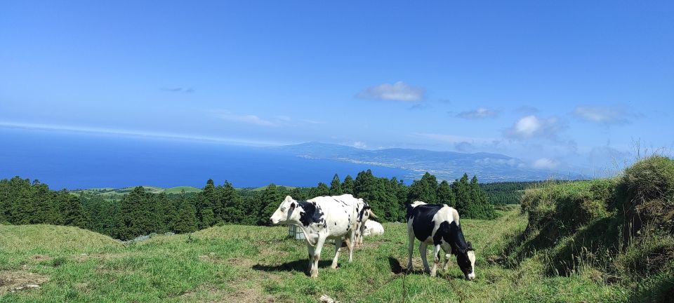 Sete Cidades Half Day Jeep Tour - Private - Guided Exploration