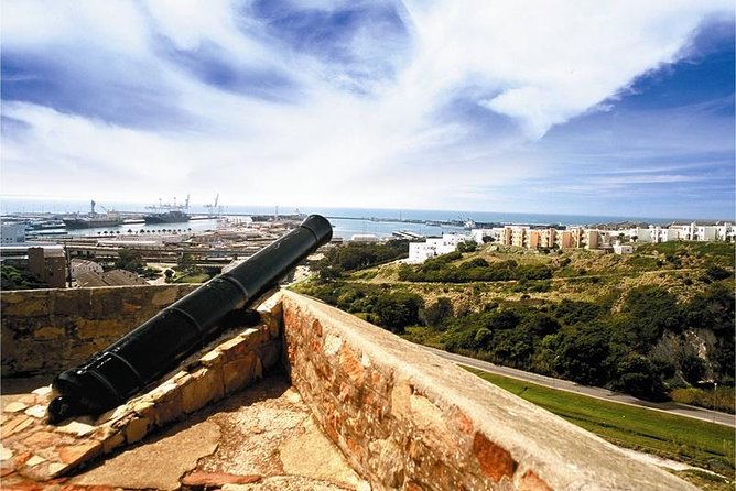 Shore Excursion: Port Elizabeth Walking City Tour - Explore the Campanile Memorial