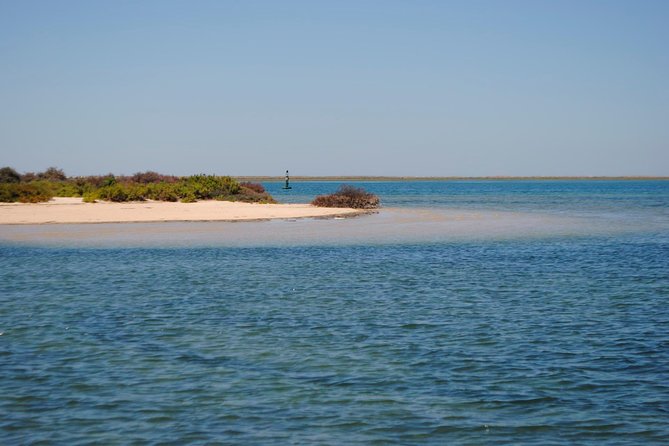 Short Boat Trip of the Algarves Ria Formosa Lagoon From Faro: 1 Hour - Cancellation Policy Specifics