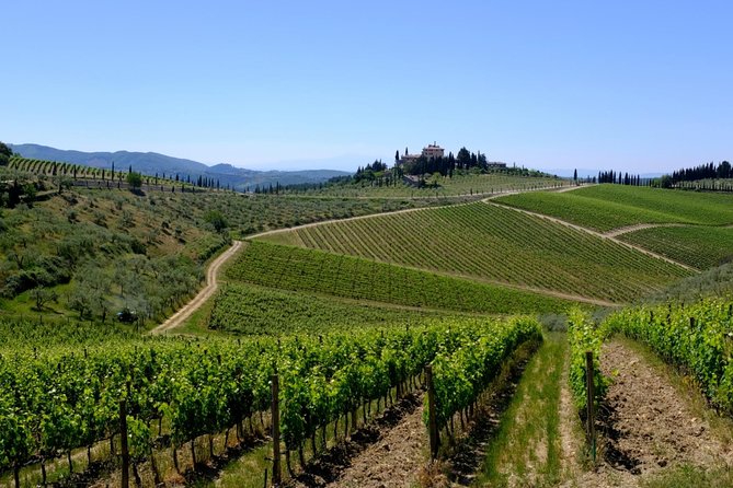 Siena and Chianti Wineries Excursion by Private Luxury Van From Florence - Customized Itinerary