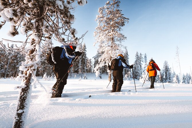 Ski Trekking Safari in Lapland - Exploring the Arctic Wilderness