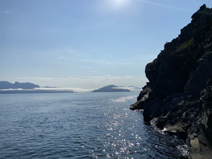 Skjervøy: Birds and Wildlife of Arctic Norway - Safety and Accessibility