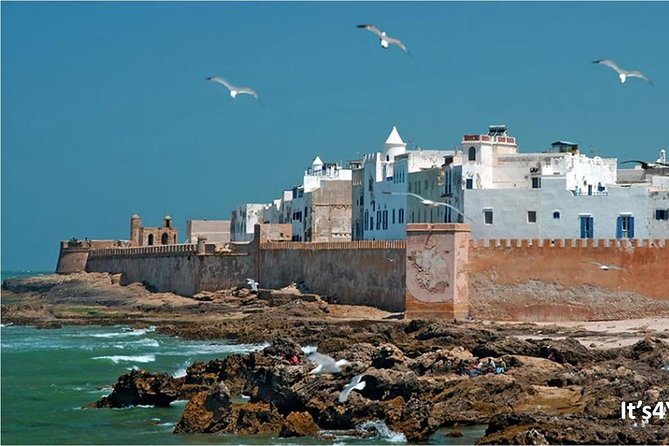 Small-Group Day Trip to Essaouira From Marrakech - Dining at Fish Market