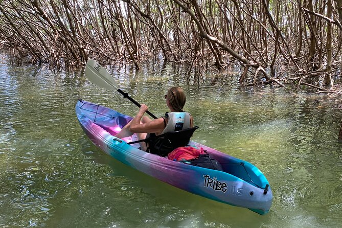 Small Group Kayak Tour of the Shell Key Preserve - Guided Kayaking Experience