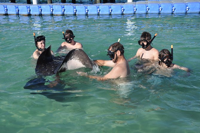 Small Group Snorkeling, Sharks & Stingrays Encounter by Boat - Marine Park