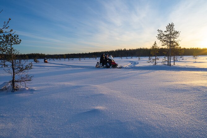 Small-Group Snowmobile Experience in Rovaniemi - Pricing and Reviews