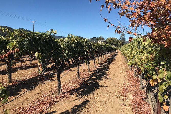 Small-Group Wine Country Tour From San Francisco With Tastings - Winery Selections