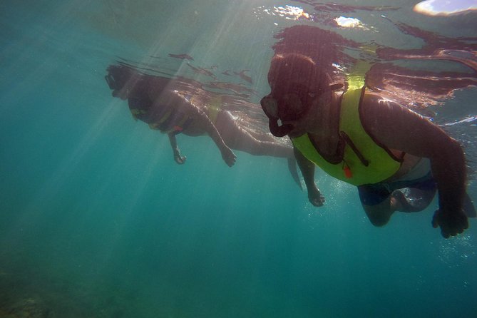 Snorkeling Lesson & Interactive Experience for Kids and Adults - Cancellation Policy