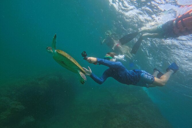 Snorkeling With Turtles in Fujairah With BBQ Lunch - Meeting Point and Pickup