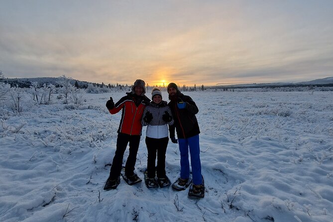 Snowshoe in a Winter Forest - Wildlife Spotting Opportunities