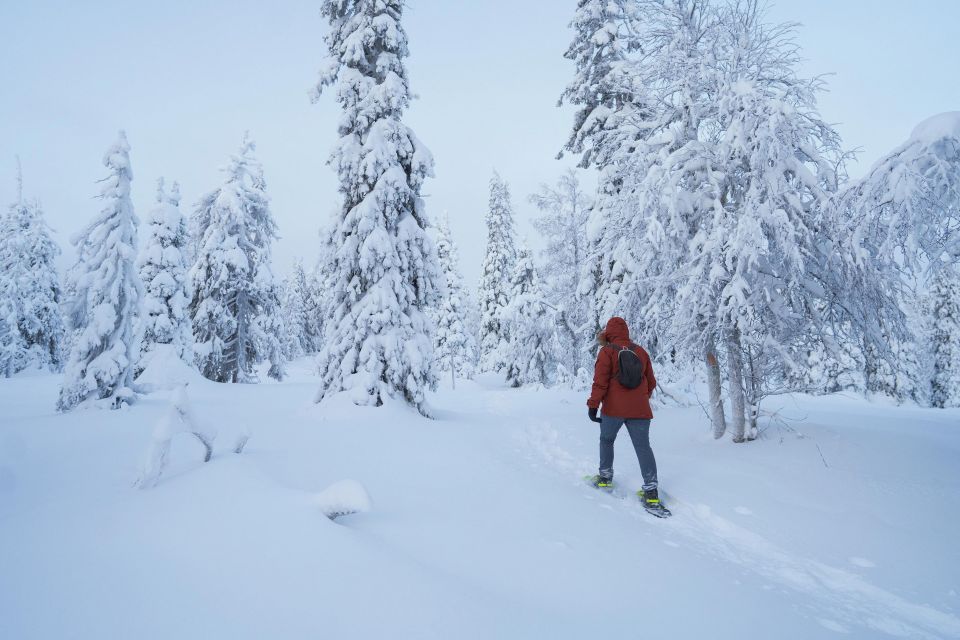 Snowshoeing in the Frozen Forest - Group Size and Guide