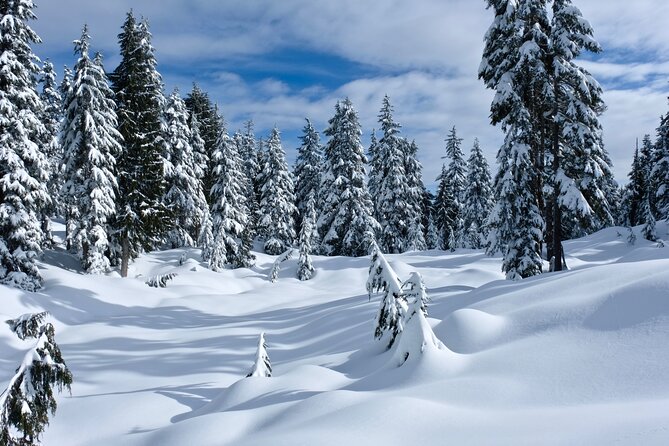 Snowshoeing In Vancouvers Winter Wonderland - Past Participant Reviews