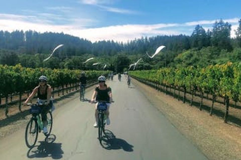 Sonoma County: Wine Tasting and Biking in Healdsburg - Weather Considerations