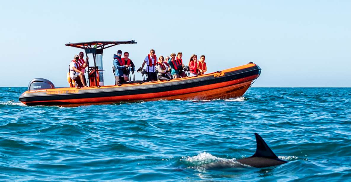 South Route: Dolphin Watching - Important Information