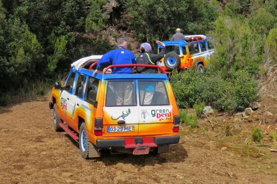 Southeast Madeira: Open Top 4x4 Tour - Price and Duration