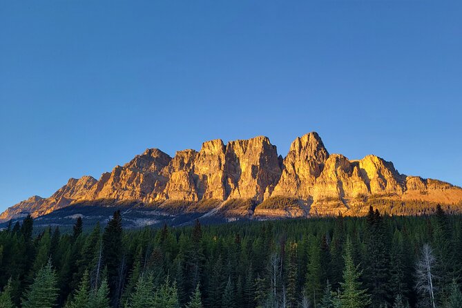 Spectacular Banff Day Trip - Cancellation Policy