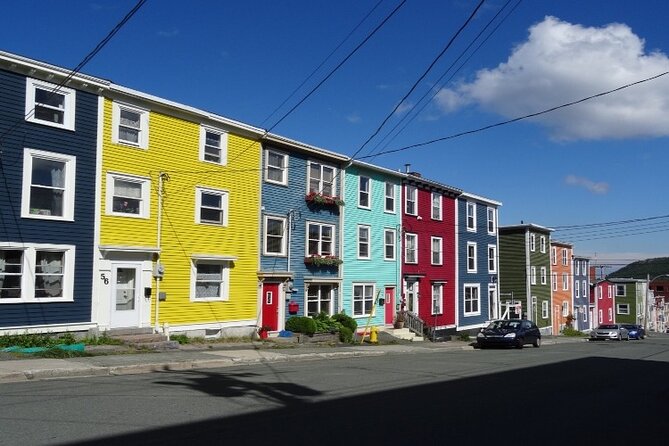 St. Johns, Quidi Vidi Village & Signal Hill Small Group Tour - Traveler Reviews Highlights