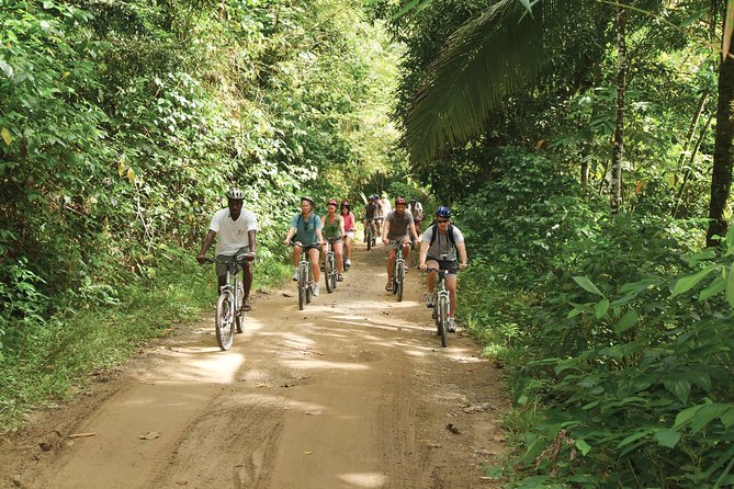 St Lucia Bike and Hike - Scenic Highlights