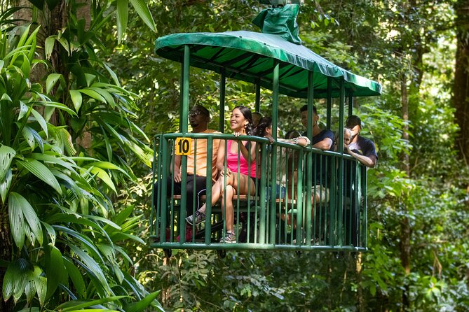 St Lucia Ultimate 3: Aerial Tram, Zipline and Hiking at Rainforest Adventures - Aerial Tram Ride