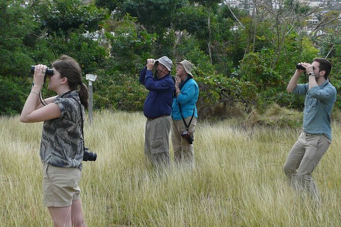 St.Martin - St.Maarten: Small Group, Birding Tour / Bird Watching Tour - Tour Duration and Schedule