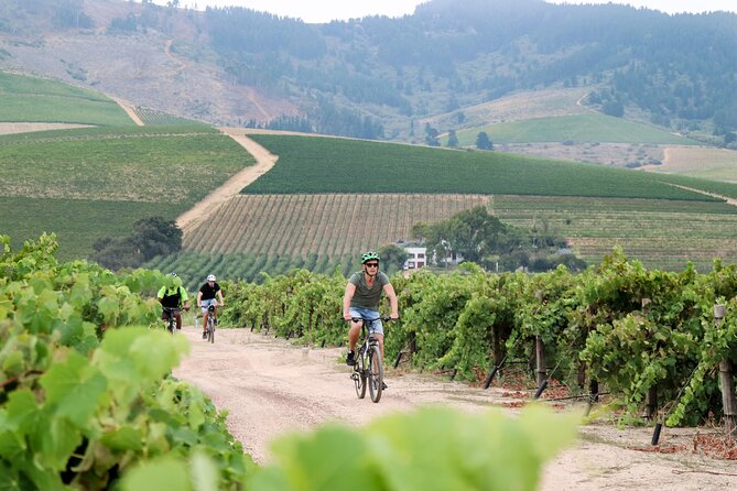 Stellenbosch Half Day Winelands Cycle Tour - Reviews