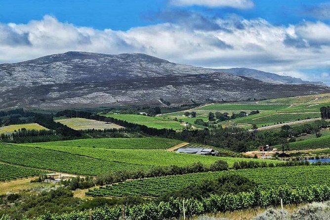 Stellenbosch Winelands Experience - Pickup and Drop-off