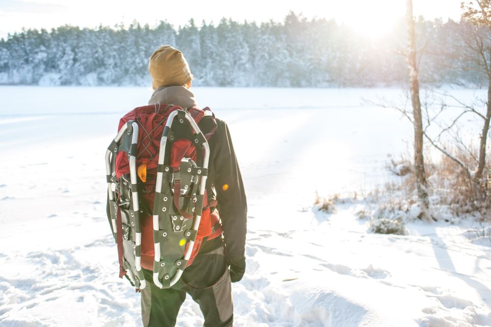 Stockholm: Winter Snowshoe Full-Day Hike - Whats Included in the Tour