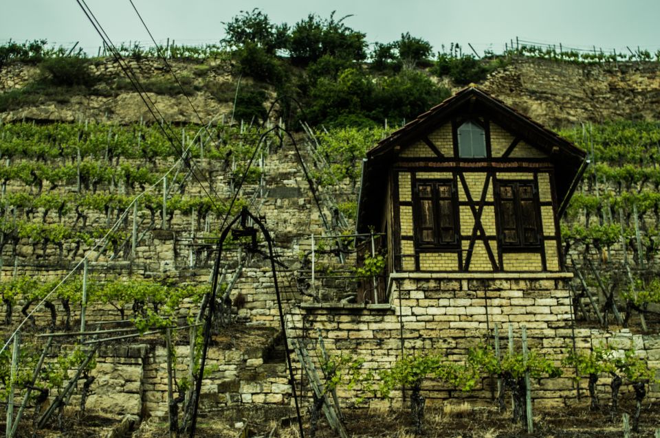 Stuttgart: Guided Vineyards Tour - Scenic Views of the Area