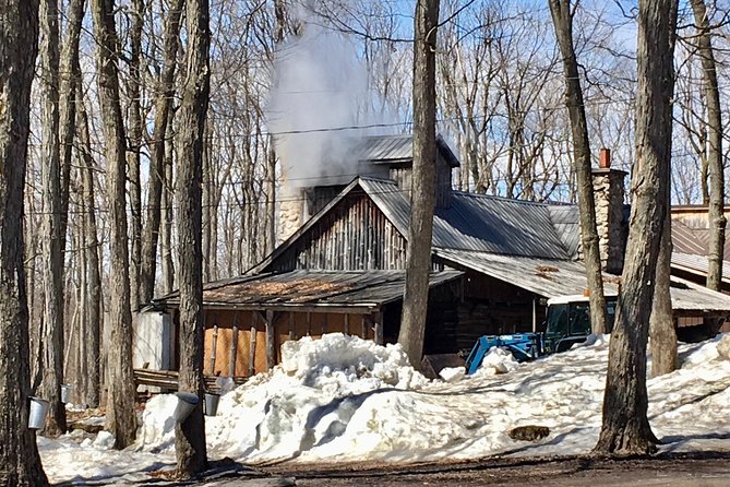 Sugar Shack (Feb to May) Maple Syrup Private Day Tour With Lunch From Montreal - Accessibility and Eligibility