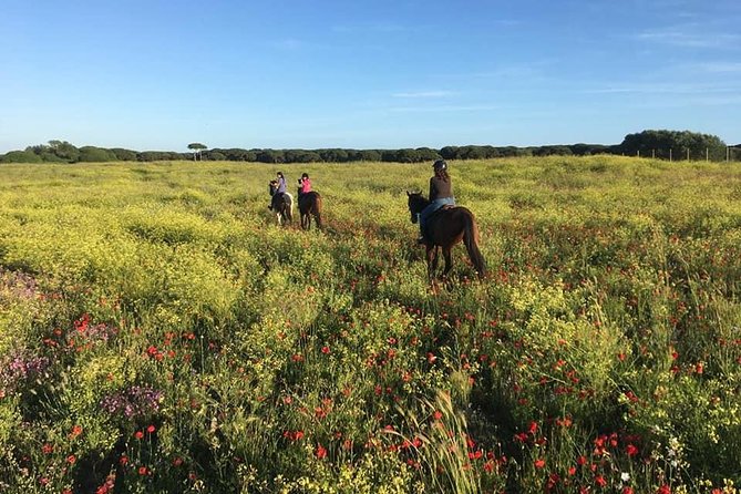 Sunset Beach Rides in Rome - Horseback Riding Experience