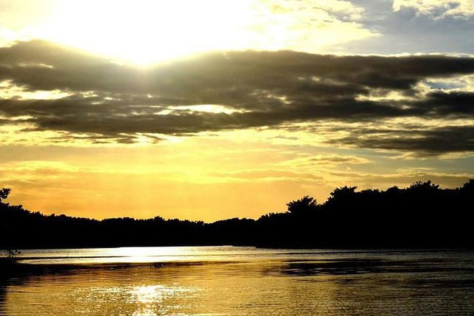 Sunset Boat Tour Into Caroni Wetlands - Boat Tour Exploration