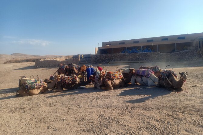 Sunset Camel Ride Agafay Desert Marrakech - Highlights of the Camel Ride