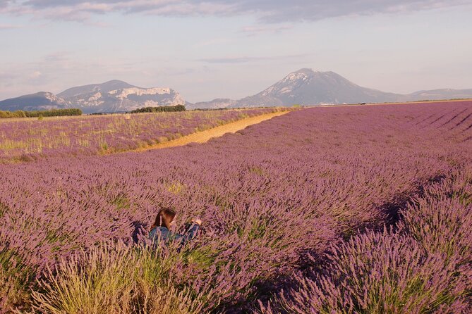 Sunset Lavender Tour in Valensole With Pickup From Marseille - Cancellation and Weather Policy