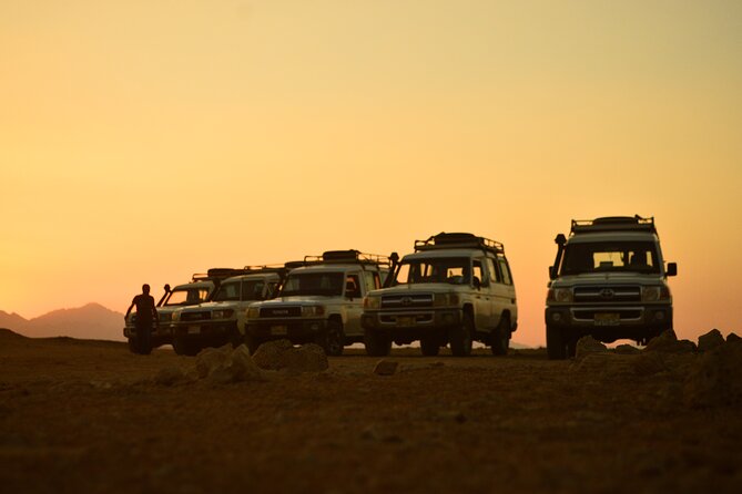 Sunset Safari Trip by Jeep - Bedouin-Style Dinner Feast