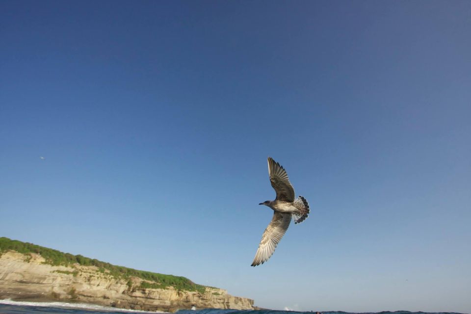 Surf and Guiding World Surf Reserve on Electric Bike - Booking Information