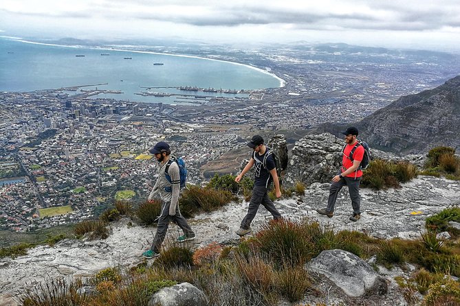 Table Mountain Adventurous Hike & Cable Car Down - Confirmation and Booking Information