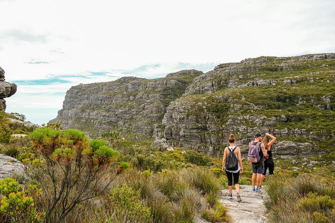 Table Mountain Summit Hike via Kasteelspoort - Customer Reviews Highlights