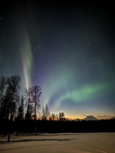 Talkeetna: Winter Dog Sled Tour Morning or Night Mush! - Experiencing the Mushing Bond