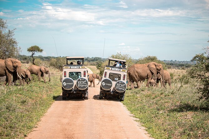 Tanzania Enticing Explorations - 6 Days - Customize Your Adventure