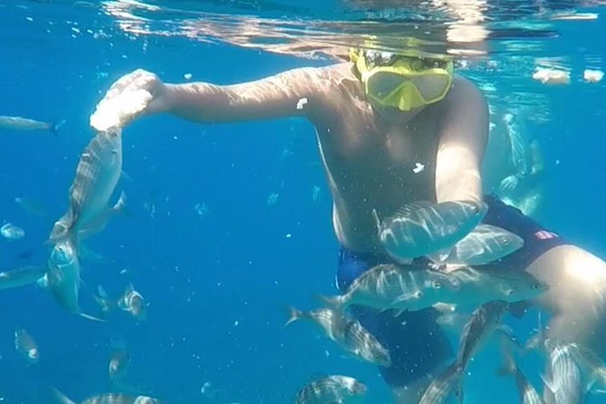 Taormina Snorkeling Experience - Vibrant Coral Reefs and Exotic Fish