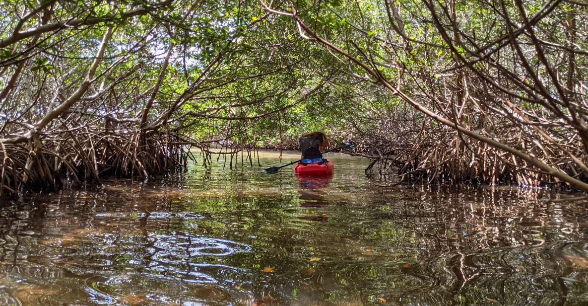 Tarpon Springs: Guided Anclote River Kayaking Tour - Location and Meeting Point