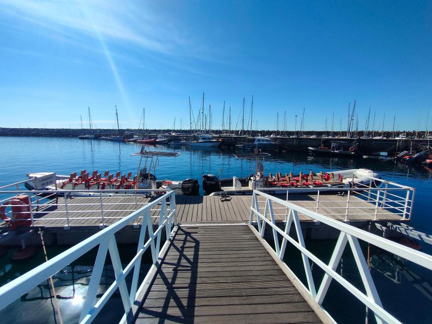 Taxi Boat From Sesimbra to Ribeira Do Cavalo Beach, Arrábida - What to Bring and Recommendations