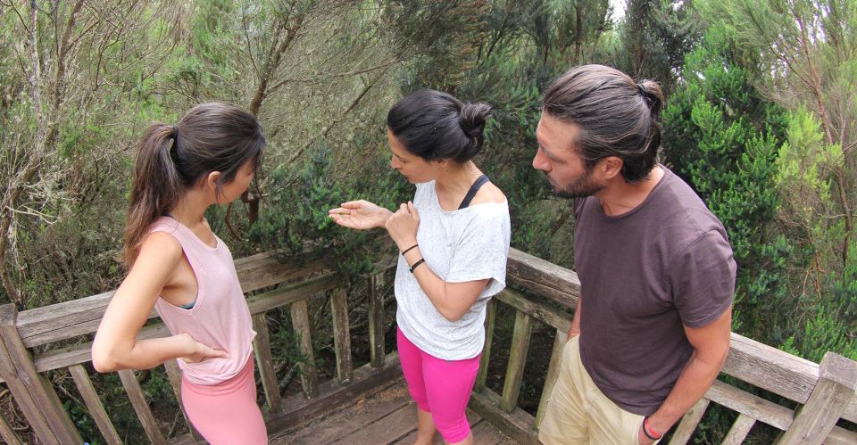 Tenerife: Guided Mindful Hike in Anaga Biosphere Reserve - Meeting Point and Logistics