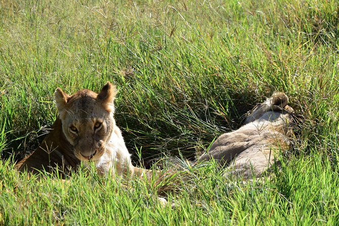 The Best 4 Days Tanzania Private Safari to Serengeti & Ngorongoro - Confirmation, Accessibility, and Transportation