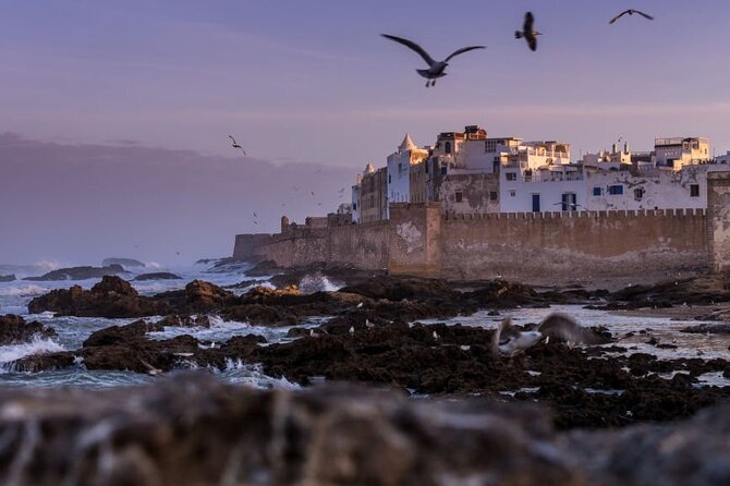 The Best Essaouira Day Trip From Marrakech - Exploring Essaouiras Medina