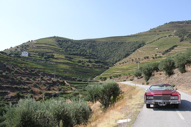 The Luxury Douro Tour - Booking Information