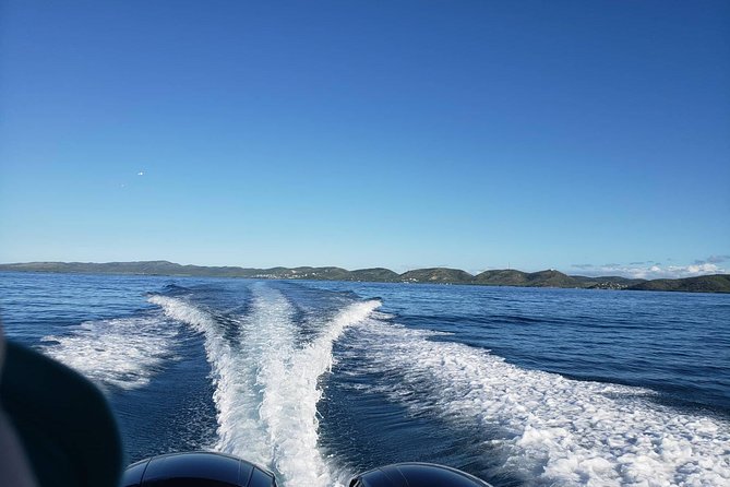 The Parguera Private Boat Charter - Activities and Experiences