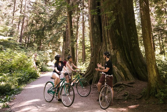 The Stanley Park Tour by Cycle City Tours - Tour Duration and Group Size