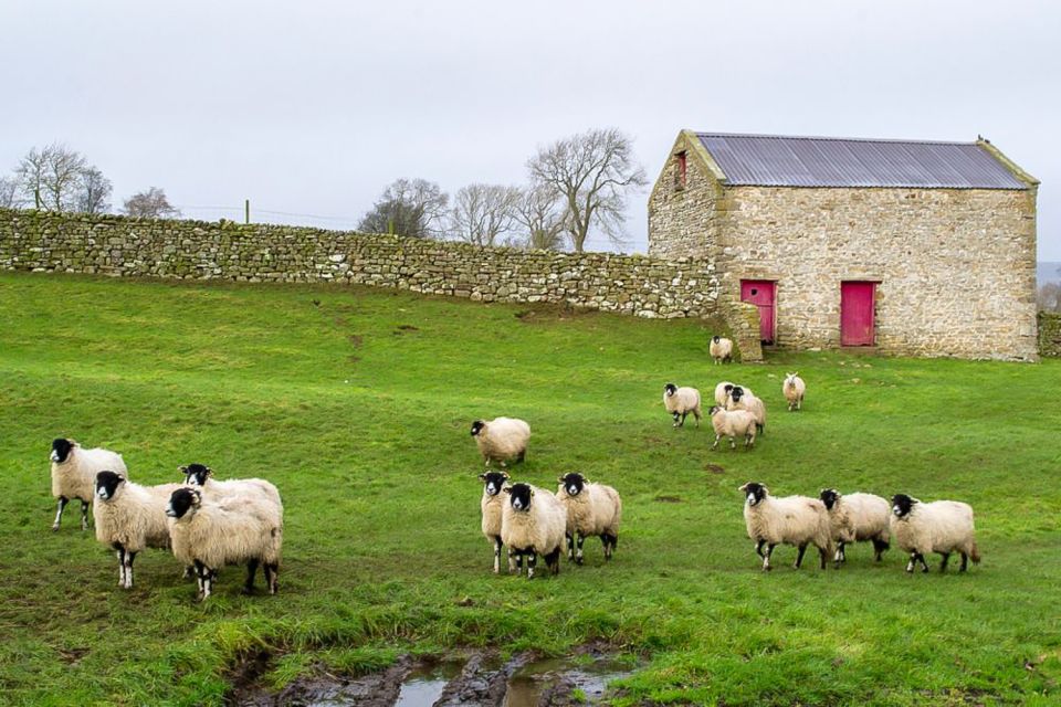 The Yorkshire Dales Tour From York - Important Information