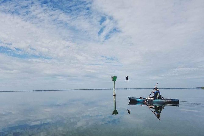 Thousand Island Mangrove Tunnel, Manatee & Dolphin Kayak Tour W/Cocoa Kayaking - Wildlife Viewing Opportunities